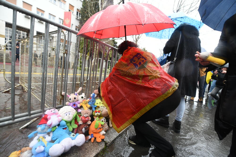 <p>"Treba da podsjećamo veću crnogorsku javnost o tome šta se dešava u Ukrajini, da skrećemo pažnju i zvaničnoj Crnoj Gori i Podgorici na sva dešavanja u Ukrajini, tj zločine koje čine Rusija", kazala je Fijalka</p>