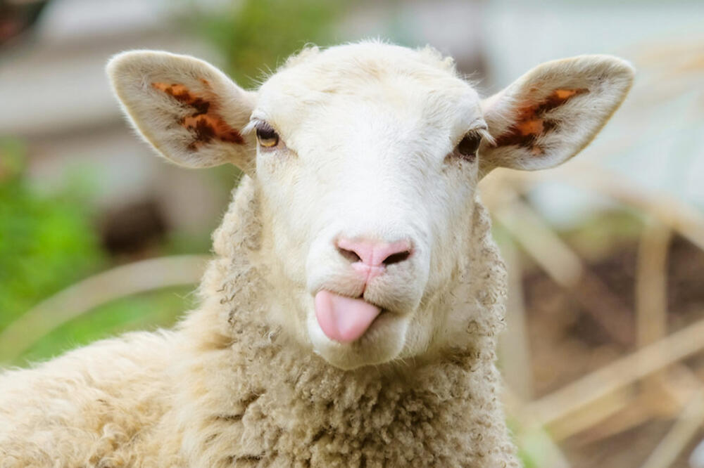 Radar je “uhvatio” (ilustracija), Foto: Shutterstock