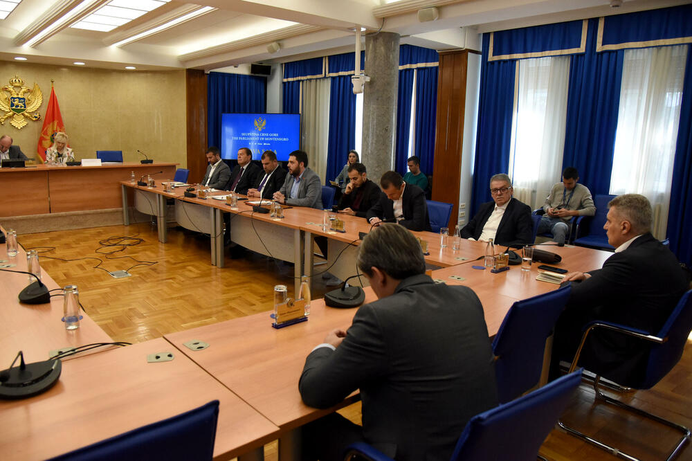 Odluka o saslušanju jednoglasno usvojena, Foto: Luka Zekovic