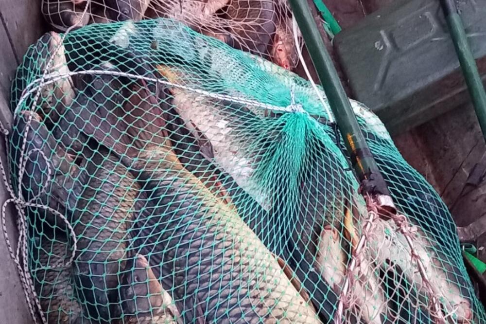 Foto: NVO Carp Security Group