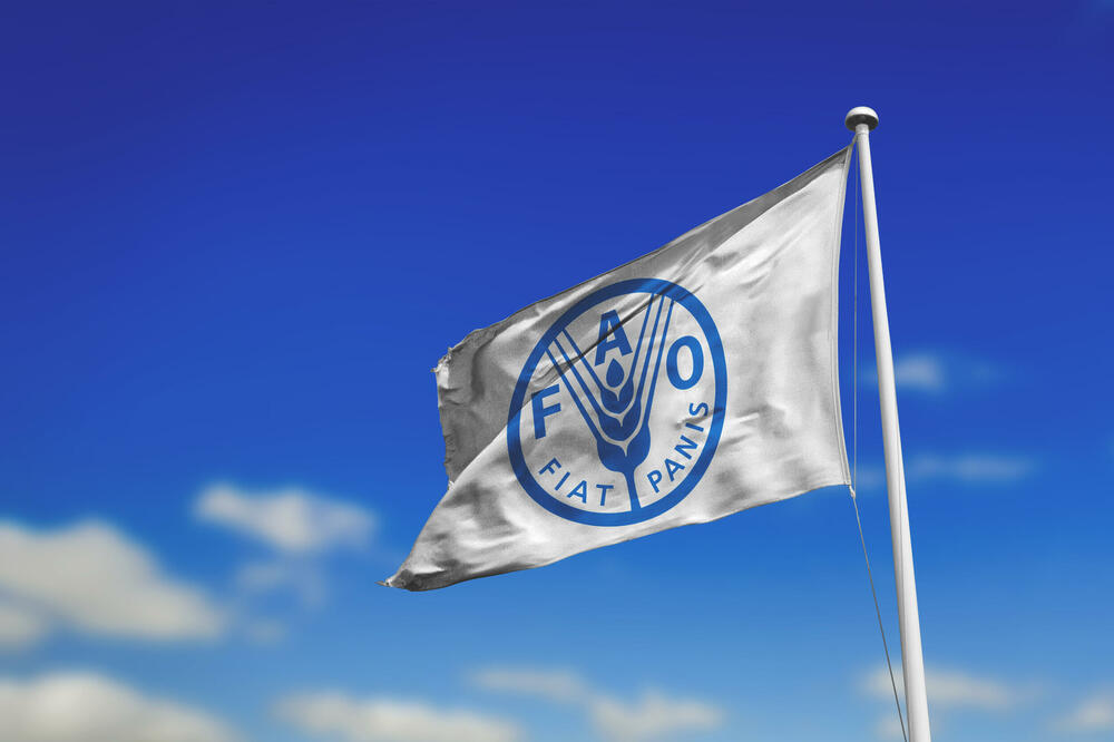 Ilustracija, Foto: Shutterstock