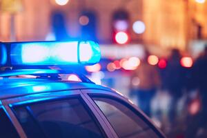 Dvije osobe poginule u pucnjavi na pijaci u Hjustonu