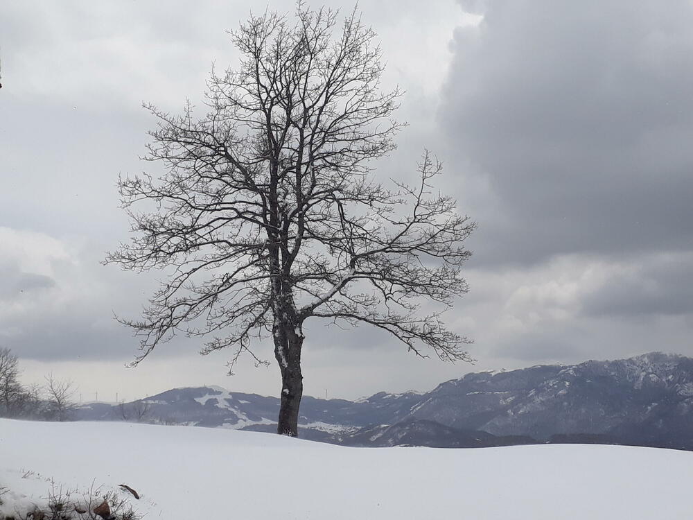 <p>Snimke možete slati putem Fejsbuk<a href="https://www.facebook.com/vijesti.me" target="_blank"> </a>i Instagram stranice, kao i email adrese portal@vijesti.me</p>