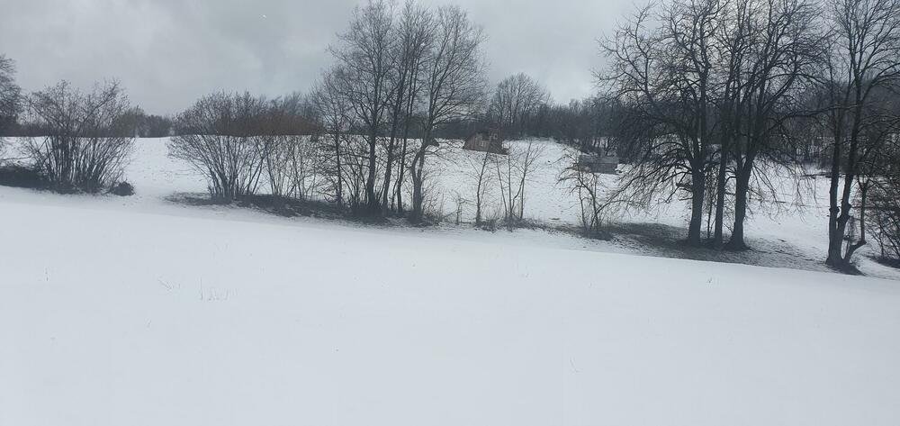 Detalj iz Pavinog polja