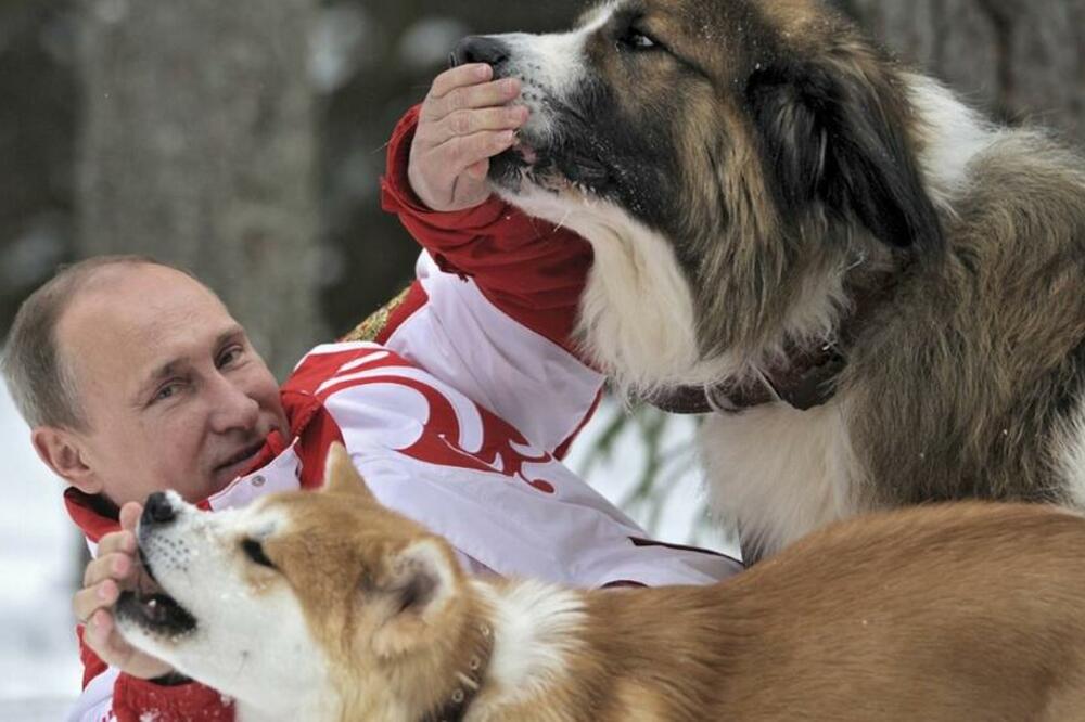 Putinove pristalice vole da dele slike predsednika dok se igra sa psima u snegu, Foto: Reuters