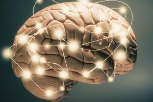 Halucogeni sastojak otkriven u pečurkama utiče na mozak ljudi koji...