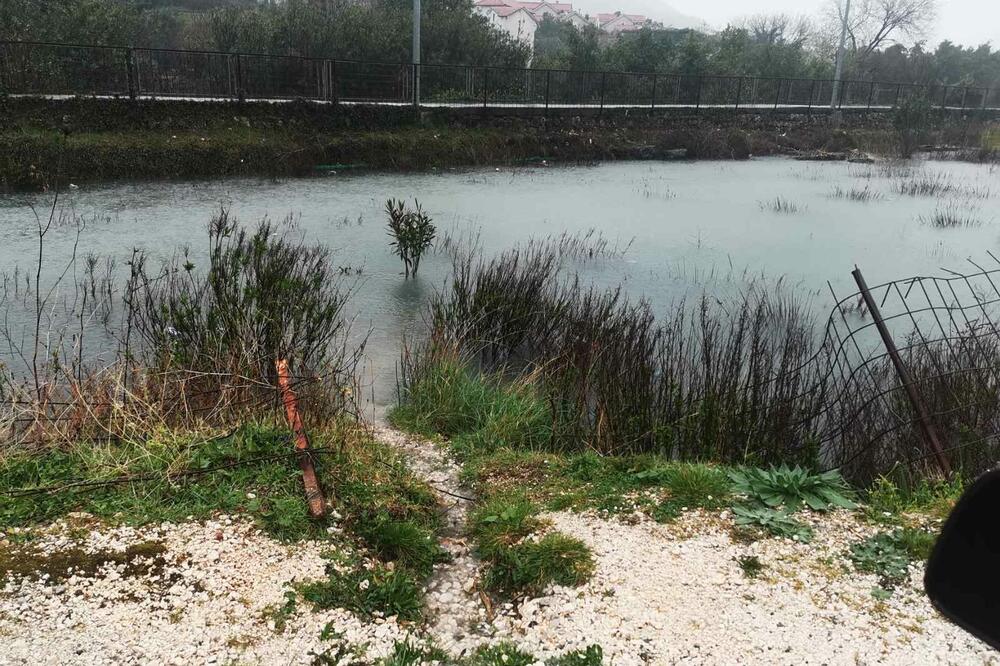 Istraživanja stala nakon donošenja Zakona o zaštiti kulturnih dobara, Foto: Siniša Luković