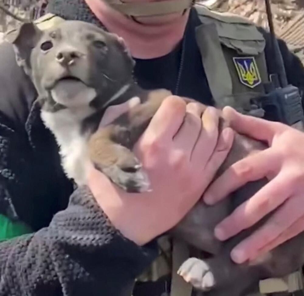 <p>Regionalna policija Donjecka objavila je snimak na kojem se vidi kako spasioci kopaju po ruševinama kako bi došli do zarobljenog psa</p>