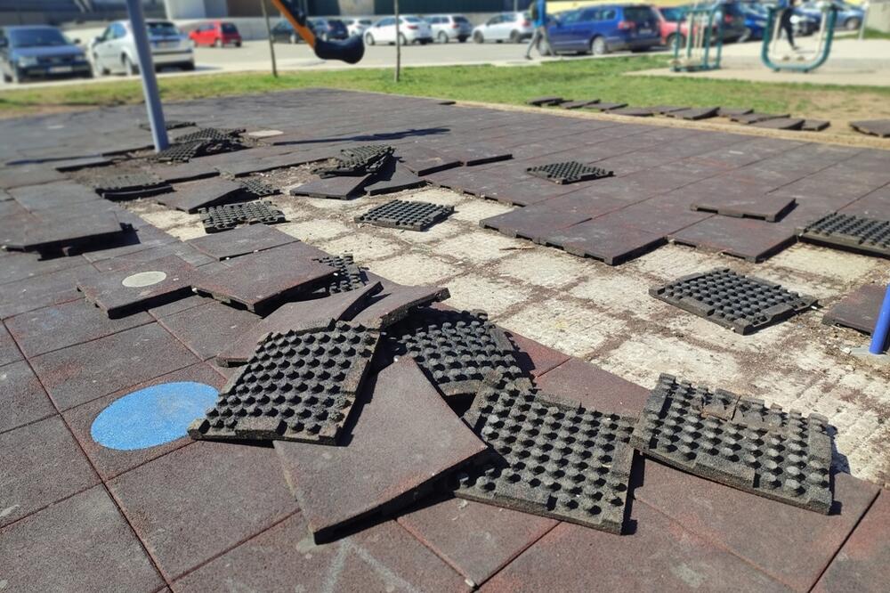 Foto: Svetlana Mandić