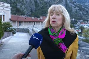 Mandić: Obnova Kotora počela dan poslije zemljotresa, na...