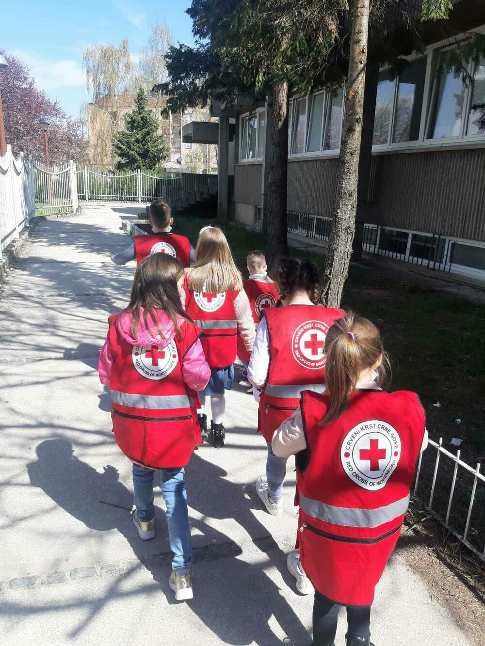 djeca nikšićka bolnica CKCG