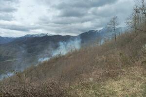 Lokalizovani požari u Kolašinu; Darmanović: Za sada je sve mirno,...