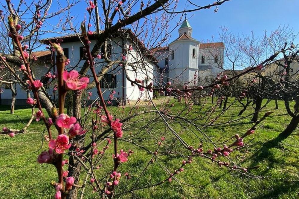 Foto: Redžib Skomorac