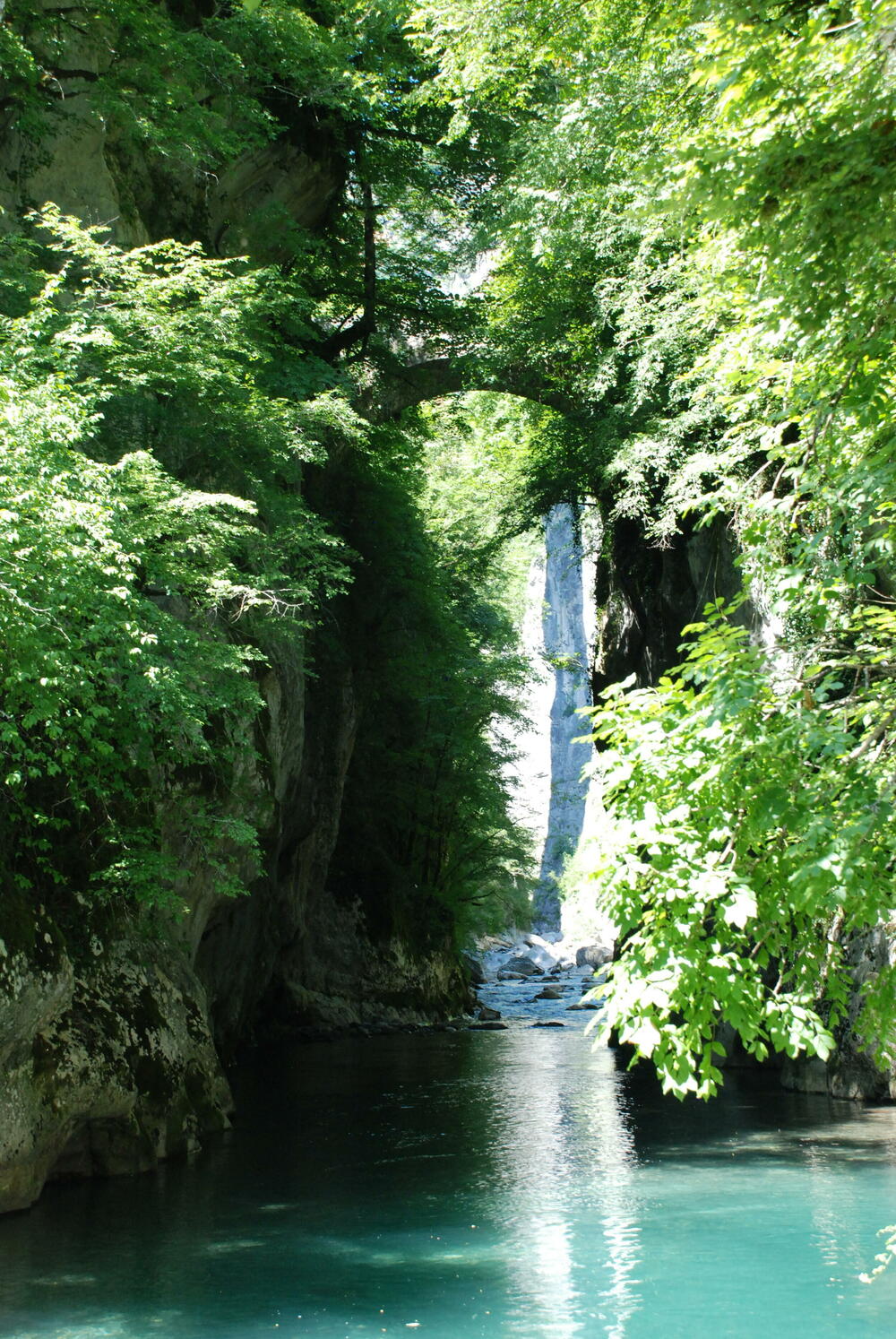 Vegetacija osvojila most Grlo