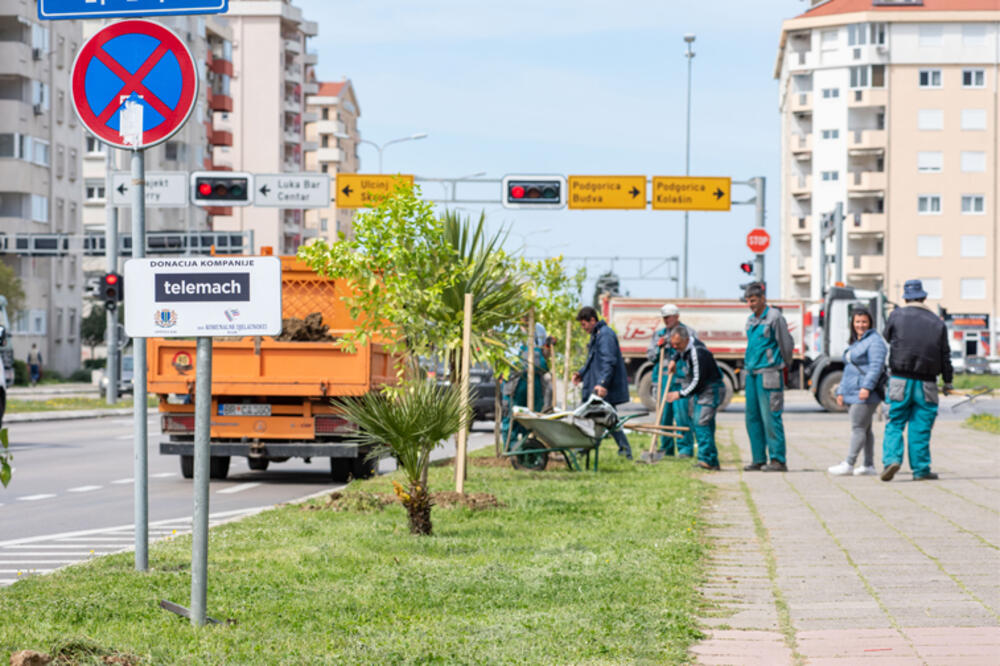 Foto: Danilo Pavlović