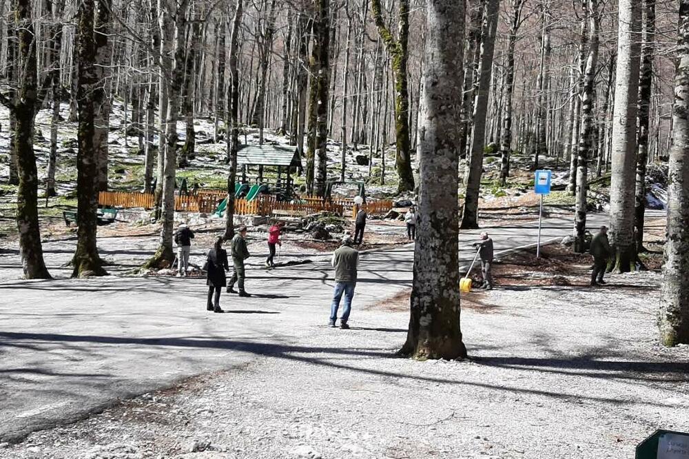 Ubrzane pripreme uoči otvaranja, Foto: NP Biogradska gora