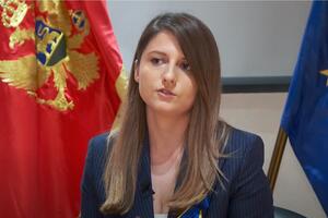 Srzentić: Crna Gora može napraviti sistem po uzoru na lidere u...