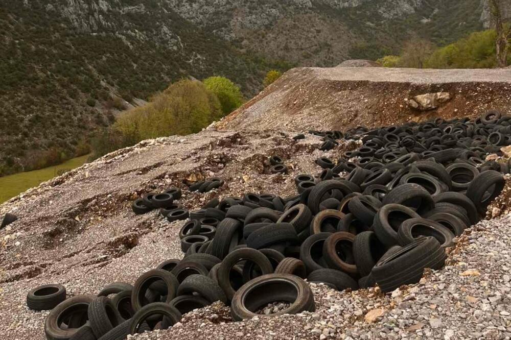 Foto: Suzana Ćetković