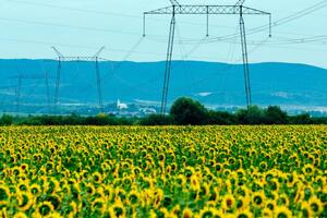 Rat će izazvati najveći skok cijena u posljednjih 50 godina,...
