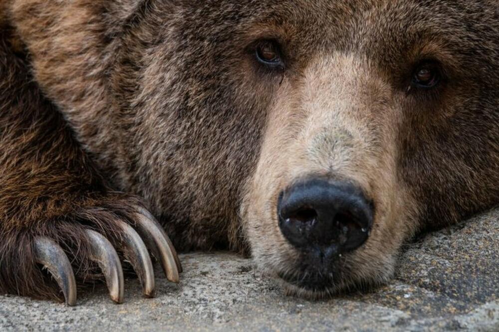 Foto: LightRocket via Getty Images