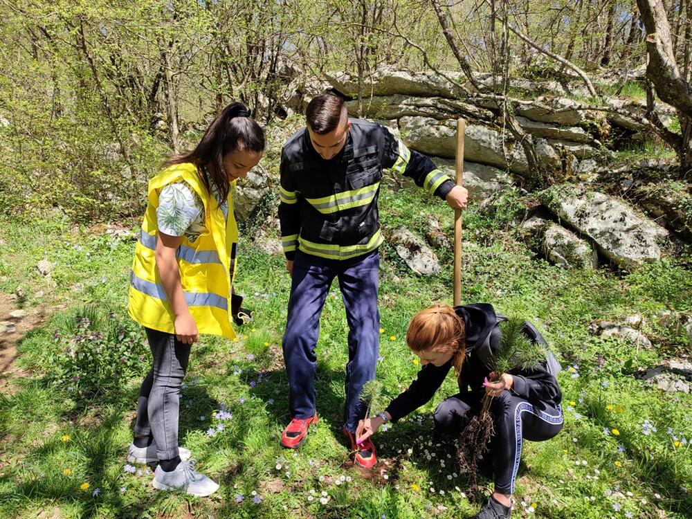 <p>Volonterski klub broji 50 volontera koji se trude da svojim aktivizmom pokrenu i druge ne bi li svi zajedno stvorili bolji i ljepši ambijent za život, a zeleni Nikšić će svakako tome doprinijeti</p>