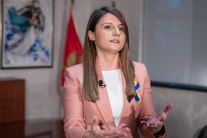 Srzentić: Javni službenici ponosno služe javnim politikama koje...