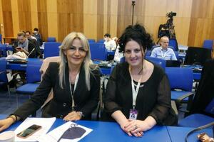 Representatives of the Ministry of Ecology at the first International...