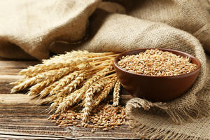 The Government of Serbia adopted: Increasing the quota for the export of wheat to 220.000...