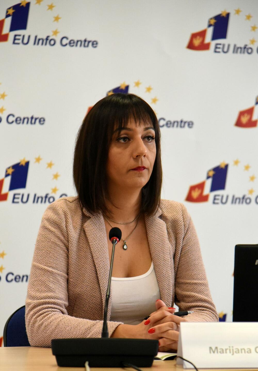 Novinari se susreću sa brojnim  problemima: Camović Veličković