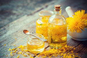 Vrijeme je za maslačak: Ljekoviti recepti za čaj, med, sirup,...
