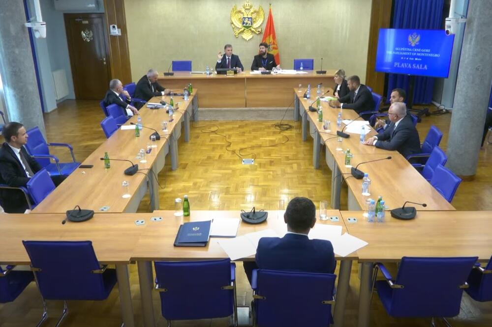 Sa sjednice Odbora, Foto: Skupština Crne Gore
