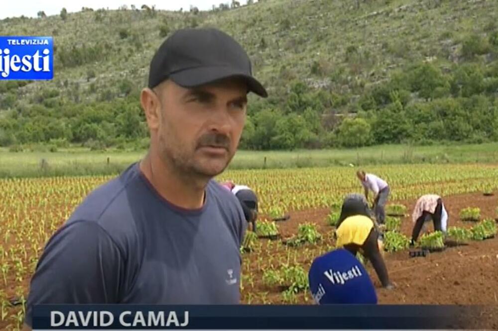 Foto: Screenshot TV Vijesti