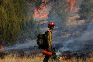 FOTO i VIDEO Najveći šumski požar u SAD: Bajden proglasio stanje...