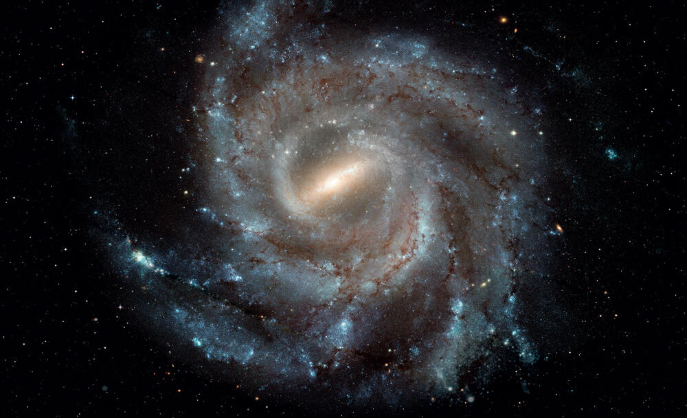 <p>Ne postoje glupa pitanja! Ona mogu da budu neobična, smiješna, pomalo čudna, ali sva zaslužuju odgovor.</p>