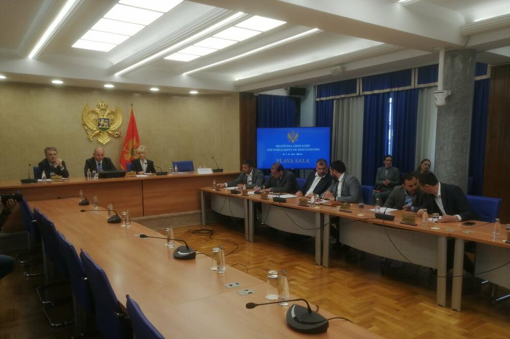 Sa sjednice Odbora za bezbjednost i odbranu, Foto: Jelena Jovanović