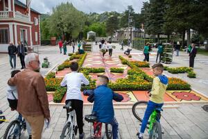 EU u Crnoj Gori postavlja cvjetni tepih na trgu ispred Dvorca...