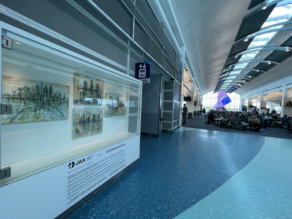 Aleksandra Kokotović