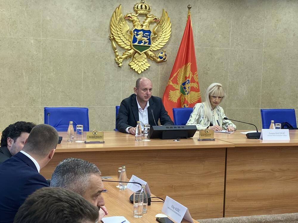 Odbor za bezbjednost i odbranu