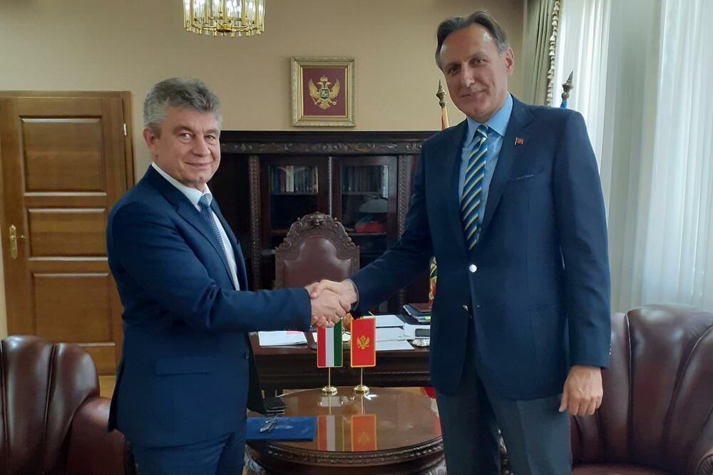 Neđeši i Krivokapić, Foto: Ministarstvo vanjskih poslova