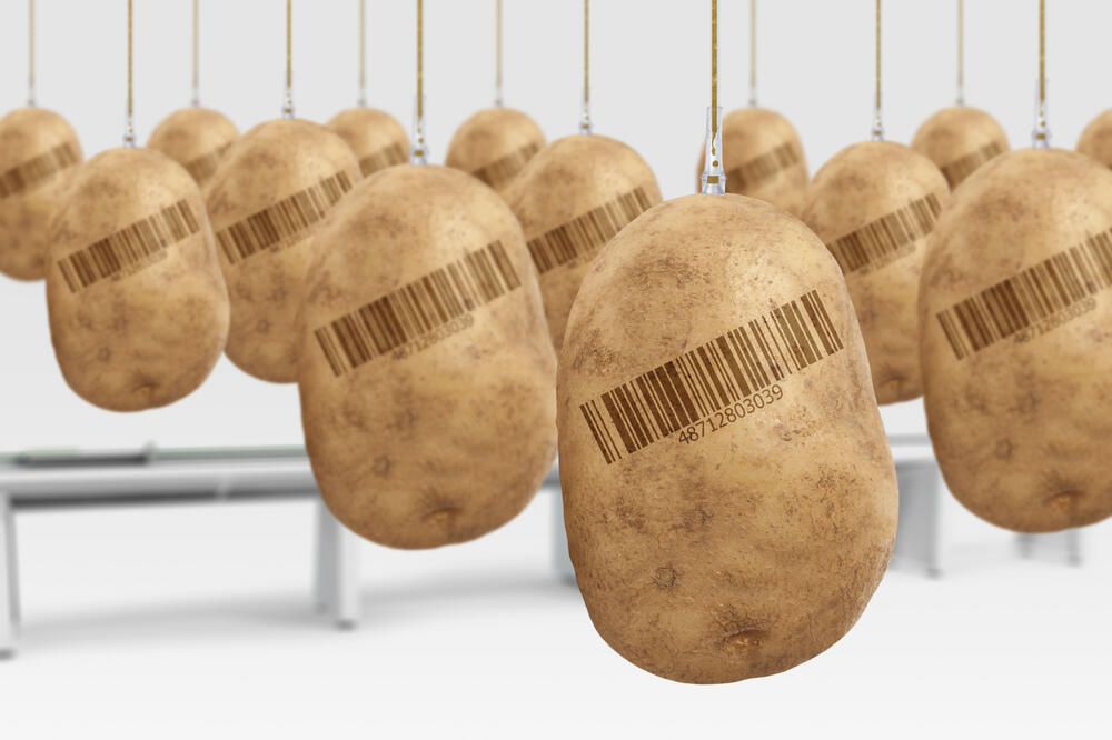 Ilustracija, Foto: Shutterstock