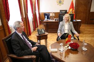 Krucijalna uloga Skupštine u procesu pridruživanja EU