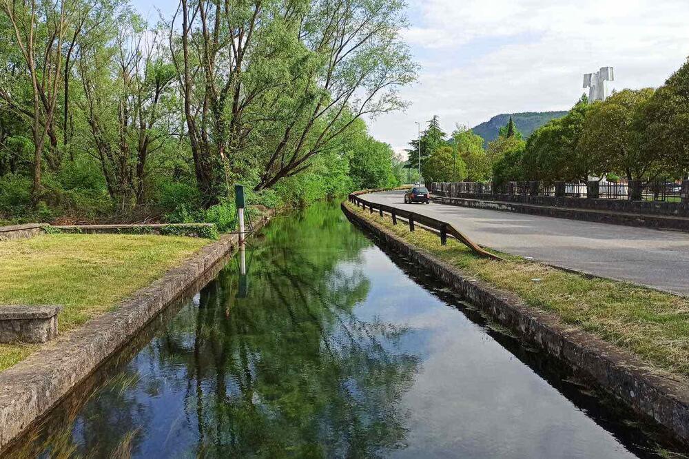 Foto: Predrag Tomović