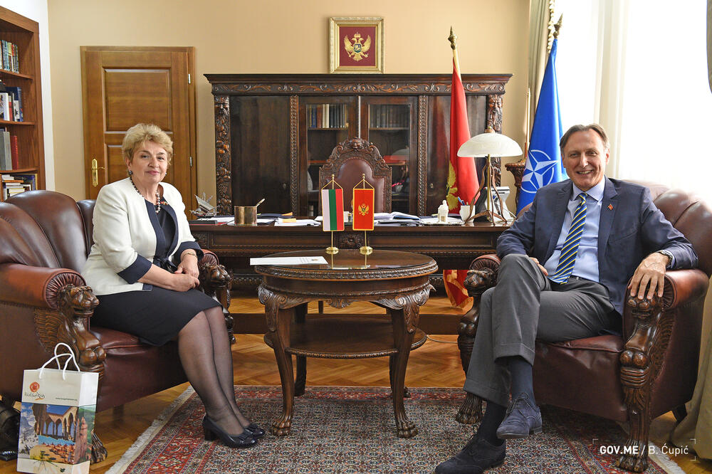 Plugčijeva-Aleksandrova i Krivokapić, Foto: MVP