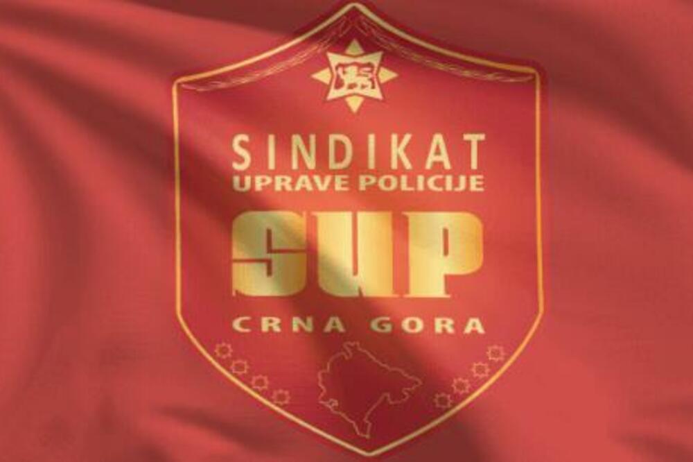 Ilustracija, Foto: screenshot supcg.me