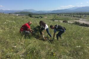 Agencija: Održana ekološka akcija ozelenjavanja Srpske gore