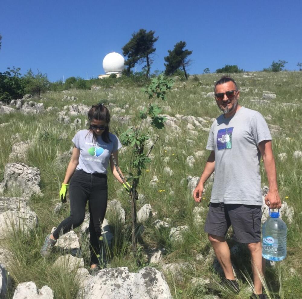 Ozelenjavanje Srpske gore