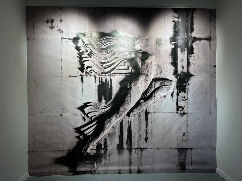 <p>"Usljed investitorske megalomanije, kolektivne amnezije i nebrige za kulturno nasljeđe, prostor grada - njegove ulice i arhitektonska zdanja bivaju izmijenjena, uništavana i brisana preko noći", istakla je umjetnica</p>