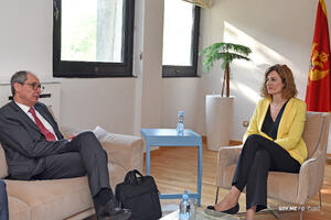 Marović: Reforme u pravosuđu prvi preduslov za ubrzanje...