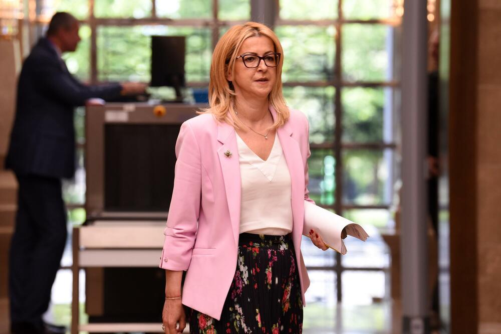 Tumačila zakon po želji partije: Suzana Pribilović, Foto: BORIS PEJOVIC