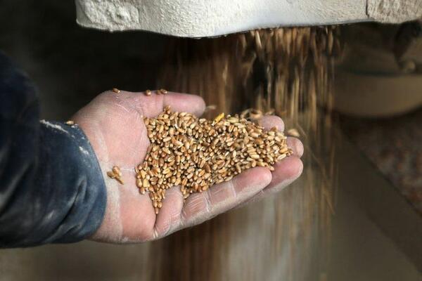 Ekonomske posljedice rata